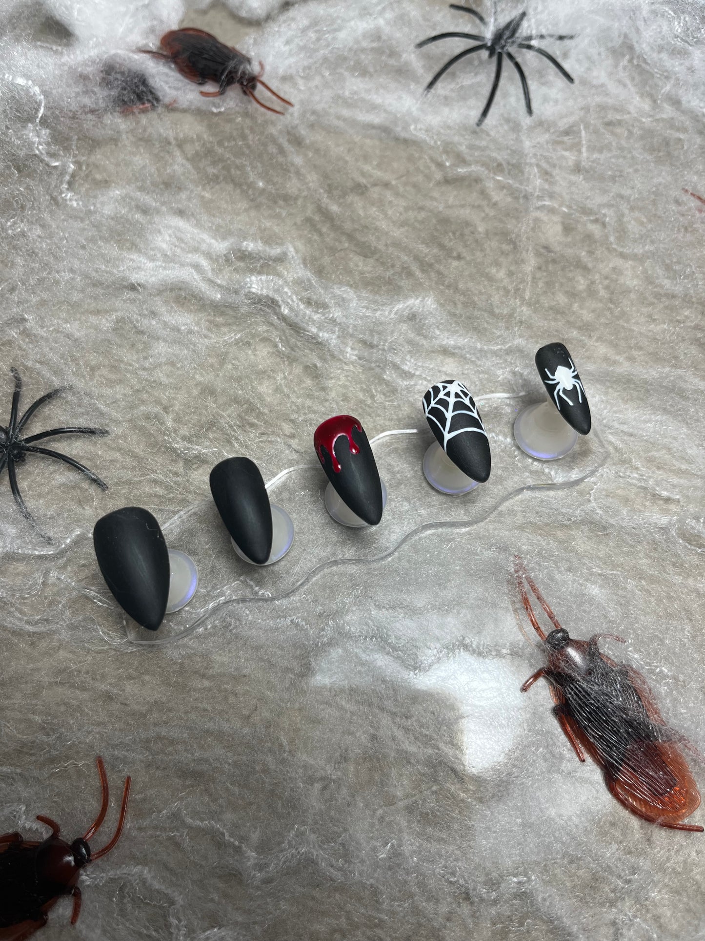 The Scary Spider